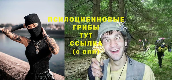 дживик Армянск