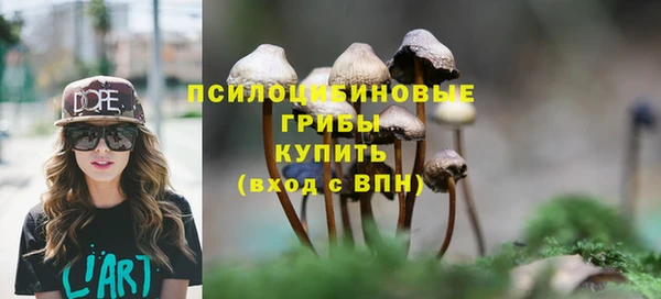 дмт Арсеньев